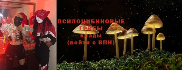 прущие грибы Гусь-Хрустальный