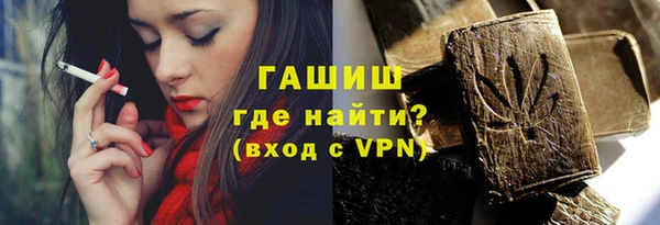 шишки Гусиноозёрск