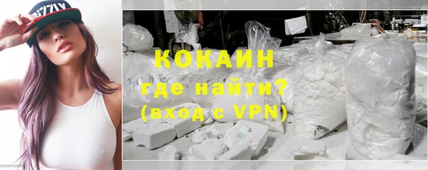 прущие грибы Гусь-Хрустальный