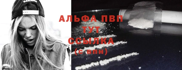 шишки Гусиноозёрск