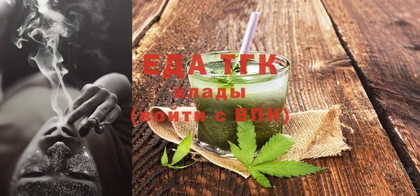 шишки Гусиноозёрск
