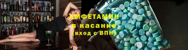 шишки Гусиноозёрск