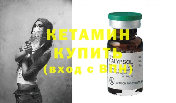 шишки Гусиноозёрск