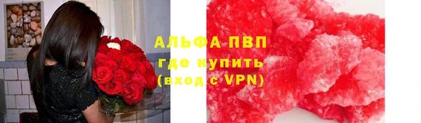 шишки Гусиноозёрск
