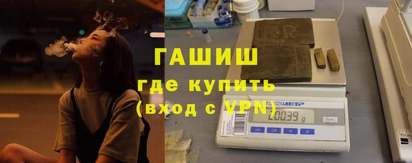 шишки Гусиноозёрск