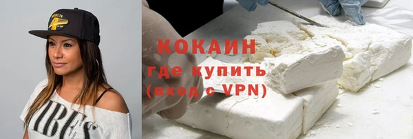 прущие грибы Гусь-Хрустальный