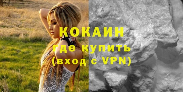 прущие грибы Гусь-Хрустальный