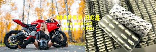 шишки Гусиноозёрск