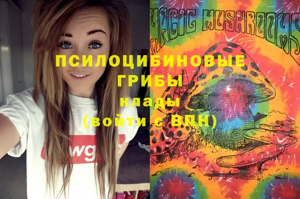 трава Гусев