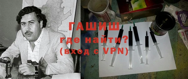 шишки Гусиноозёрск