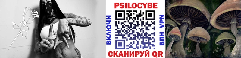 Галлюциногенные грибы Cubensis  Меленки 