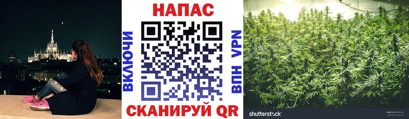 Бошки Шишки OG Kush  Меленки 